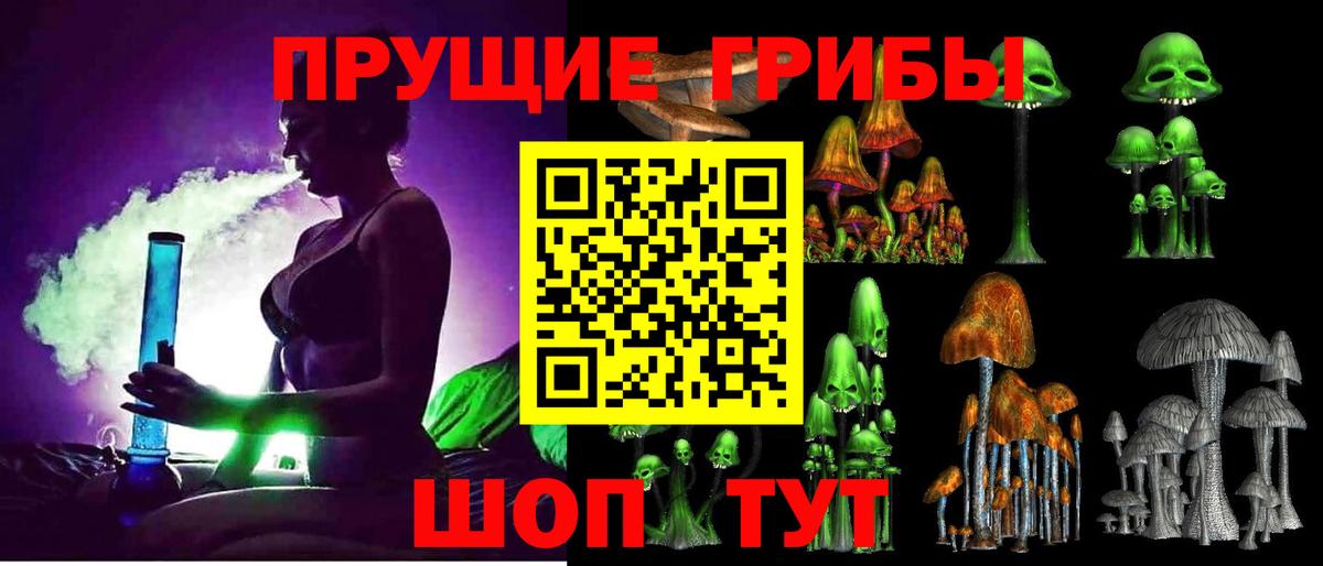 Псилоцибиновые грибы GOLDEN TEACHER  Вход с VPN  Москва  Галлюциногенные грибы Cubensis 